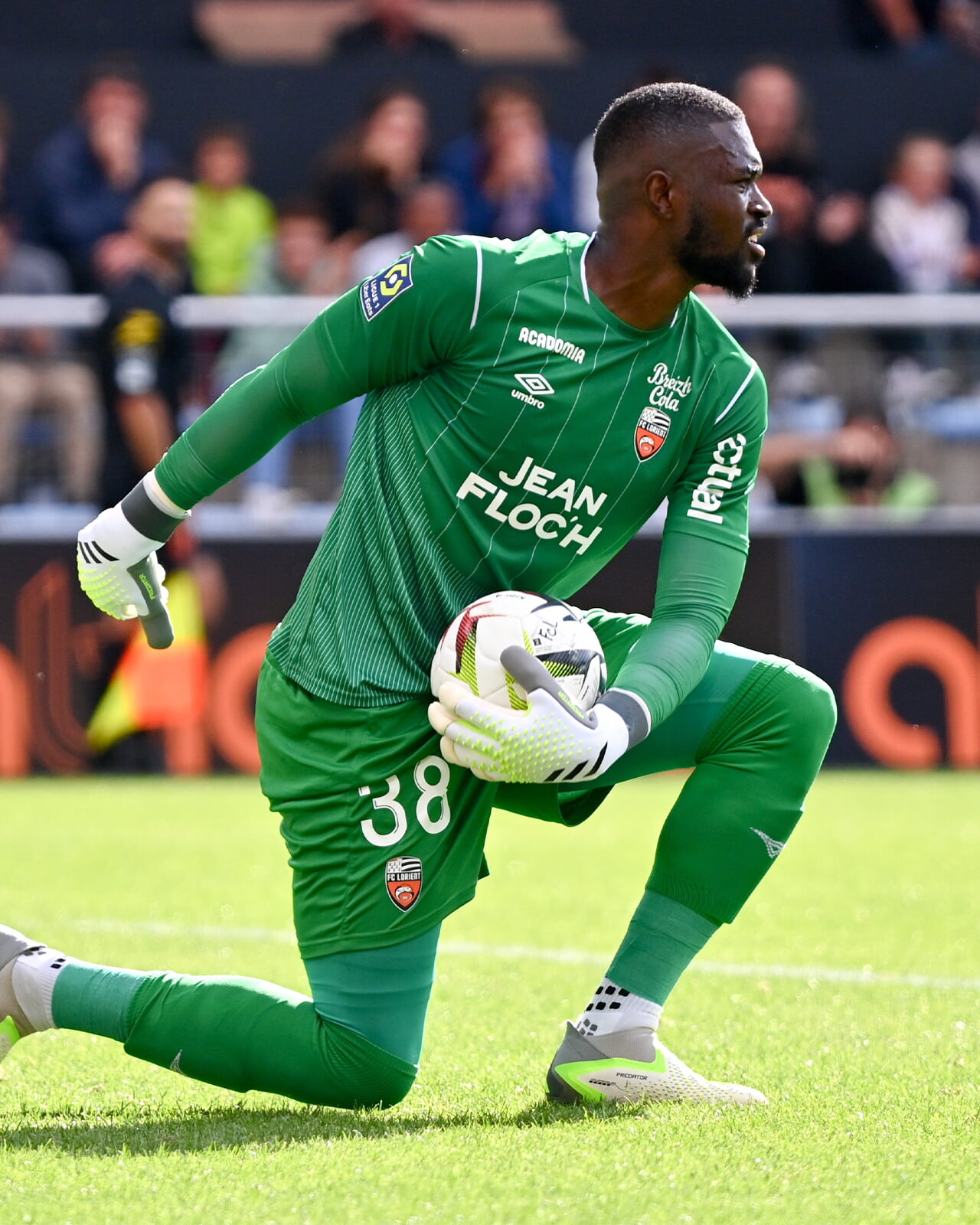 Yvon Mvogo multiplie les arrêts cette saison dans la cage du FC Lorient.